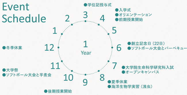 年間スケジュール