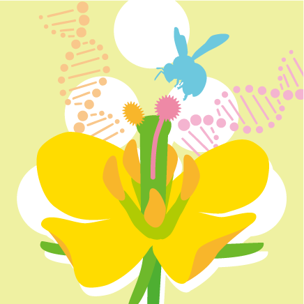 植物生殖システム分野