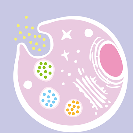 Laboratory of Membrane Trafficking Mechanisms