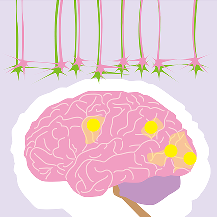 Laboratory of Systems Neuroscience