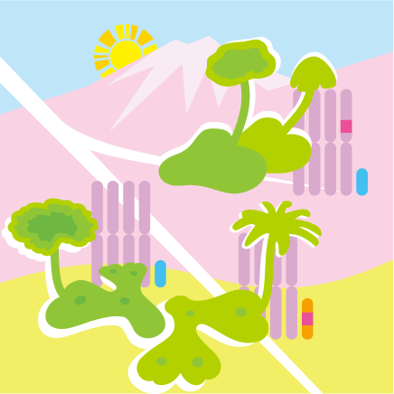 Laboratory of Plant Evolution Dynamics
