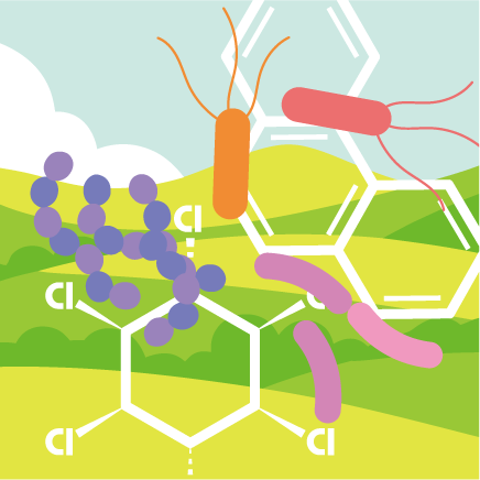 Laboratory of Microbial Genetics and Evolution