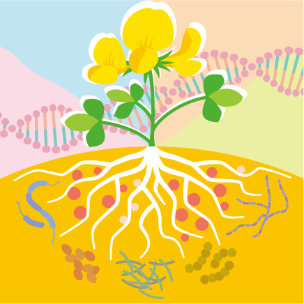 Laboratory of Symbiosis Genomics