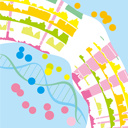 Laboratory of Evolutionary genomics