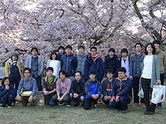 Hanami 2016 - cherry blossom viewing party