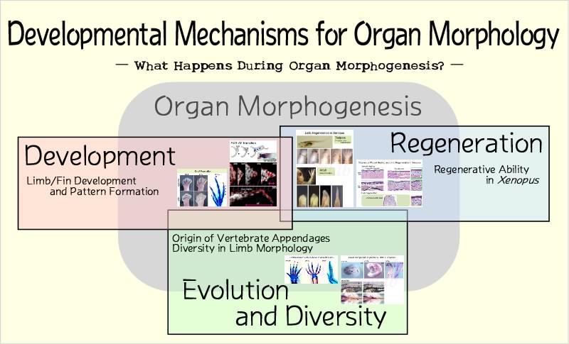 Our Research