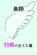 鳥類